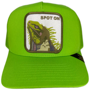 MV Dad Hats- Spot on Trucker Hat - Clique Apparel