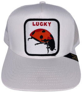 MV Dad Hats- Lucky Trucker Hat - Clique Apparel